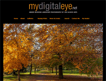 Tablet Screenshot of mydigitaleye.net